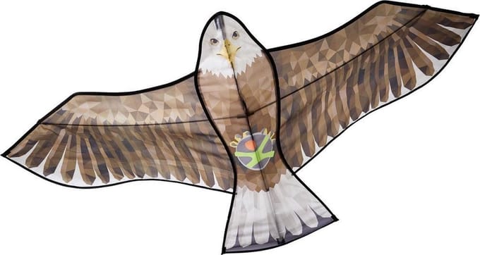 HABA Terra Kids - Vlieger - Roofvogel - 77x20x7cm