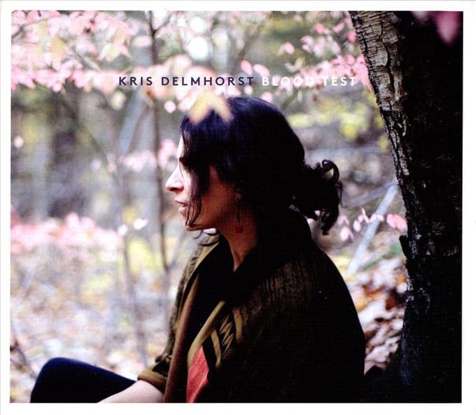 Kris Delmhorst - Blood Test