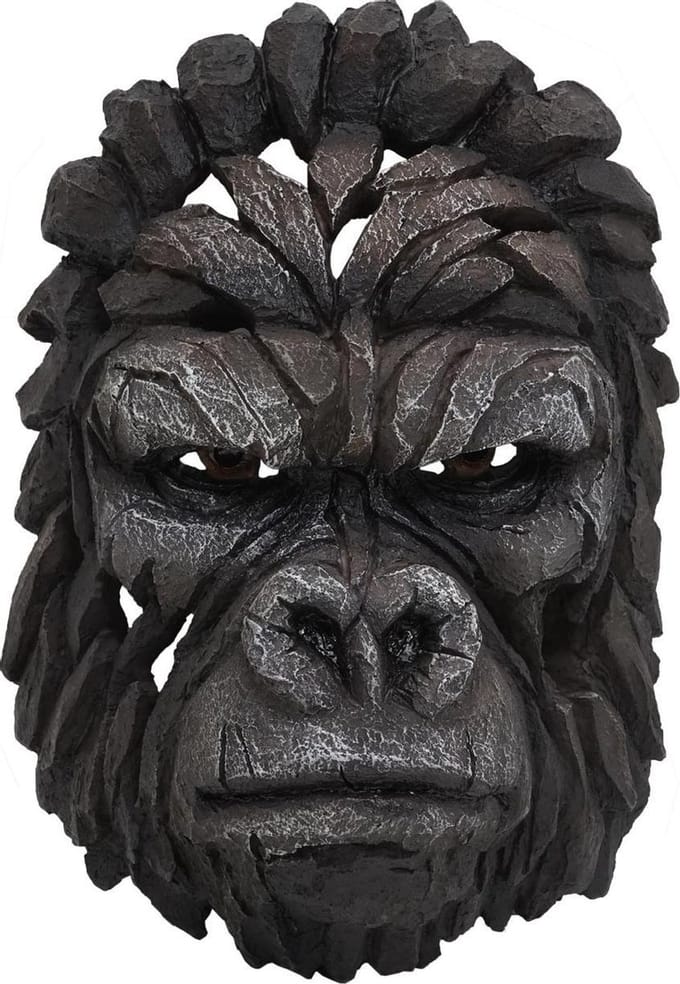 Gorilla hoofdtrofee 34 cm Deco schedel