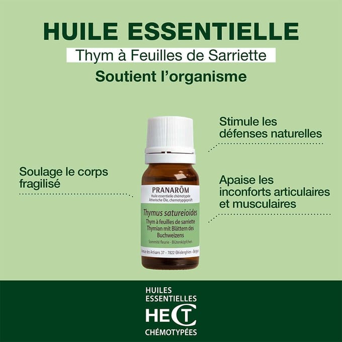 Pranarom - Tijm etherische olie met hartige bladeren - 10 ml