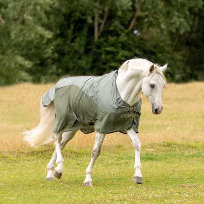 Busse Paddockdeken Rainfly 145/195 cm - Olive