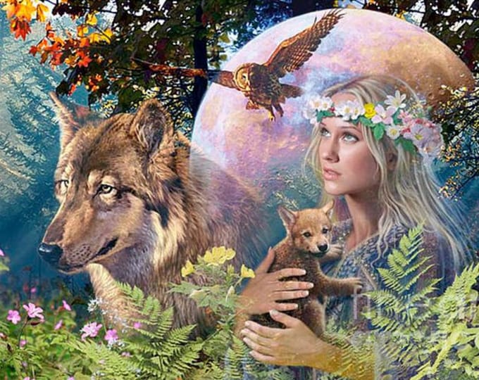 Peinture diamant loup beauté broderie affichage complet image circulaire de strass décor cadeau 20X30CM black