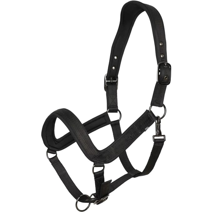 Halster voor paarden HV Polo Essential