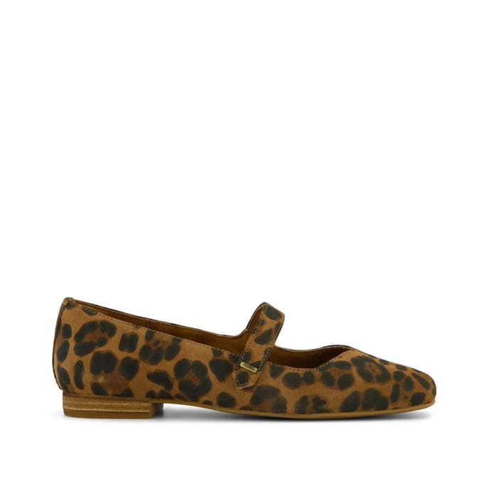 Dames ballerina's Toms Bianca