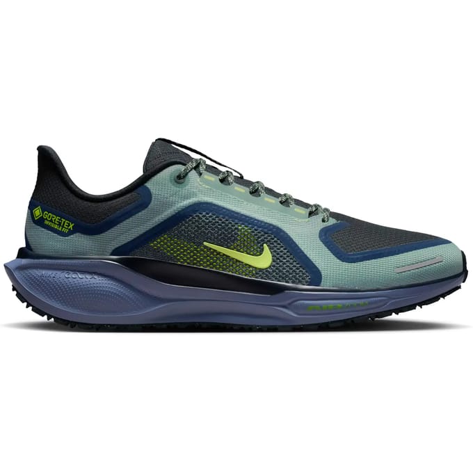 Hardloopschoenen Nike Pegasus 41 Gore-Tex