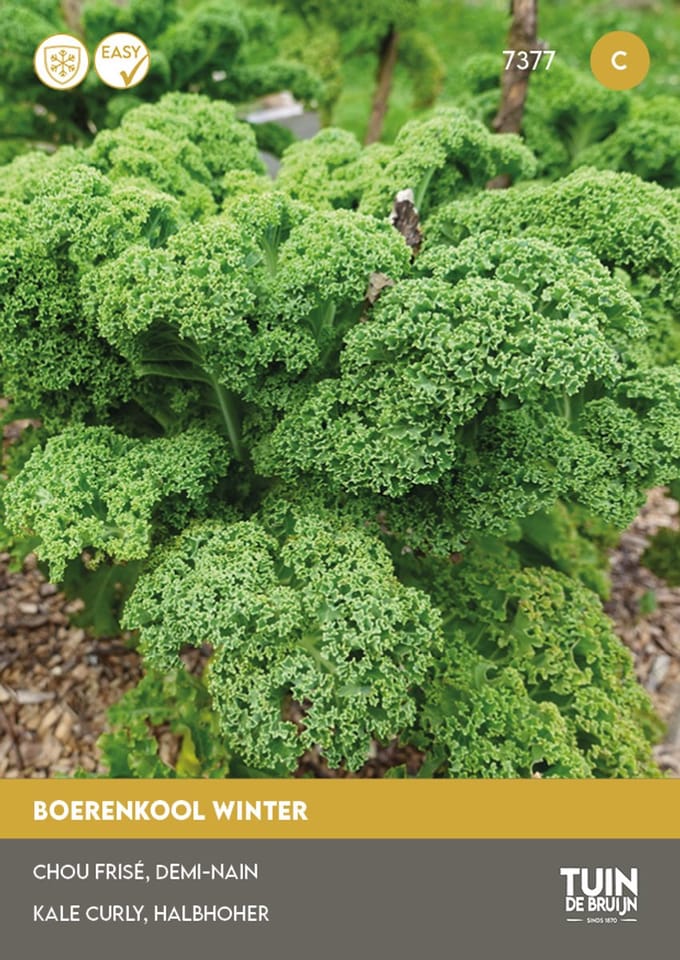 Tuin de Bruijn® zaden - Boerenkool - Westlandse Winter