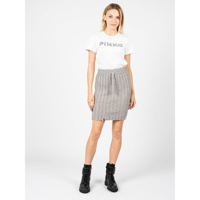 Pinko rok Giafin Vrouw Grijs