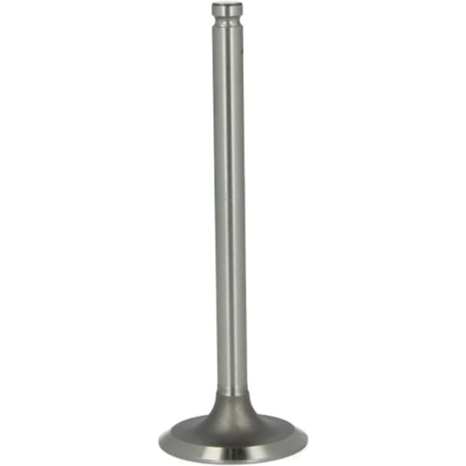 Inlaatklep PARADOWSCY PURS001