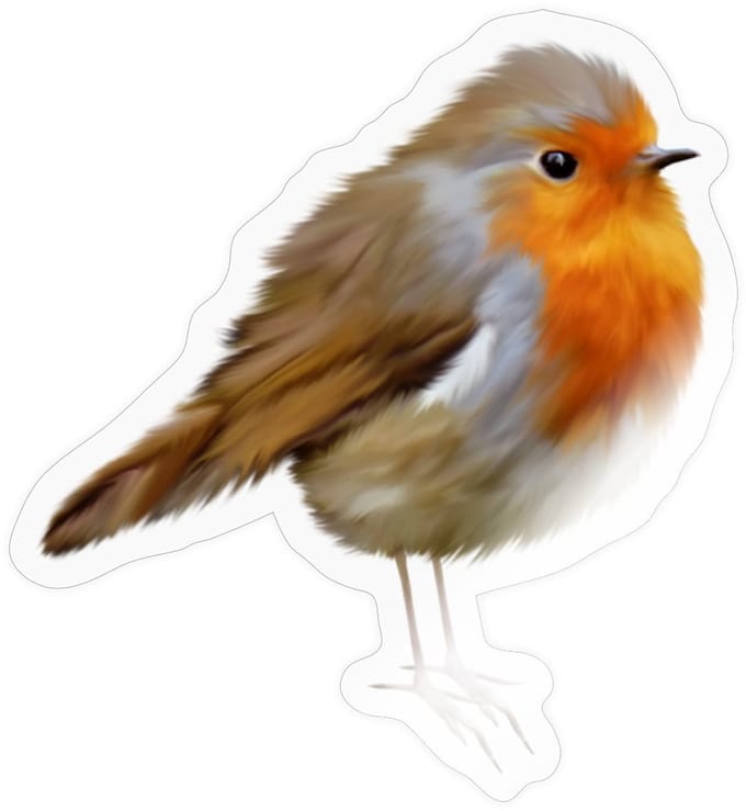 Roodborstje | Natuurgetrouwe Vogelkunst Sticker Maat S (max. 10 x 10cm)