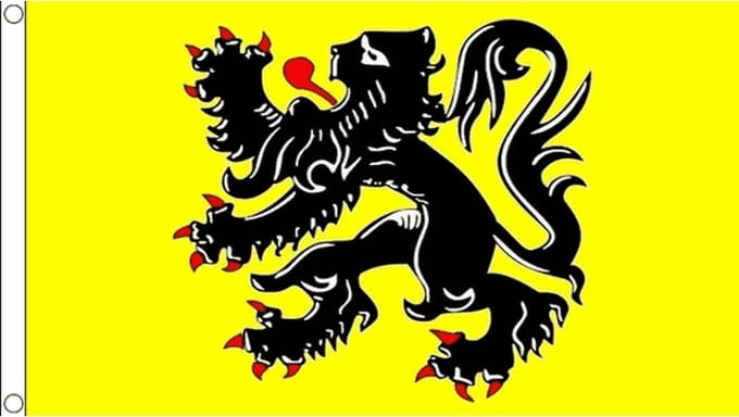 Go Go Gadget - Vlaamse vlag - 90x150cm - Vlaanderen