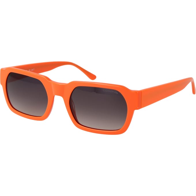 Zonnebril Comma Zonnebril 77209PU 80 53