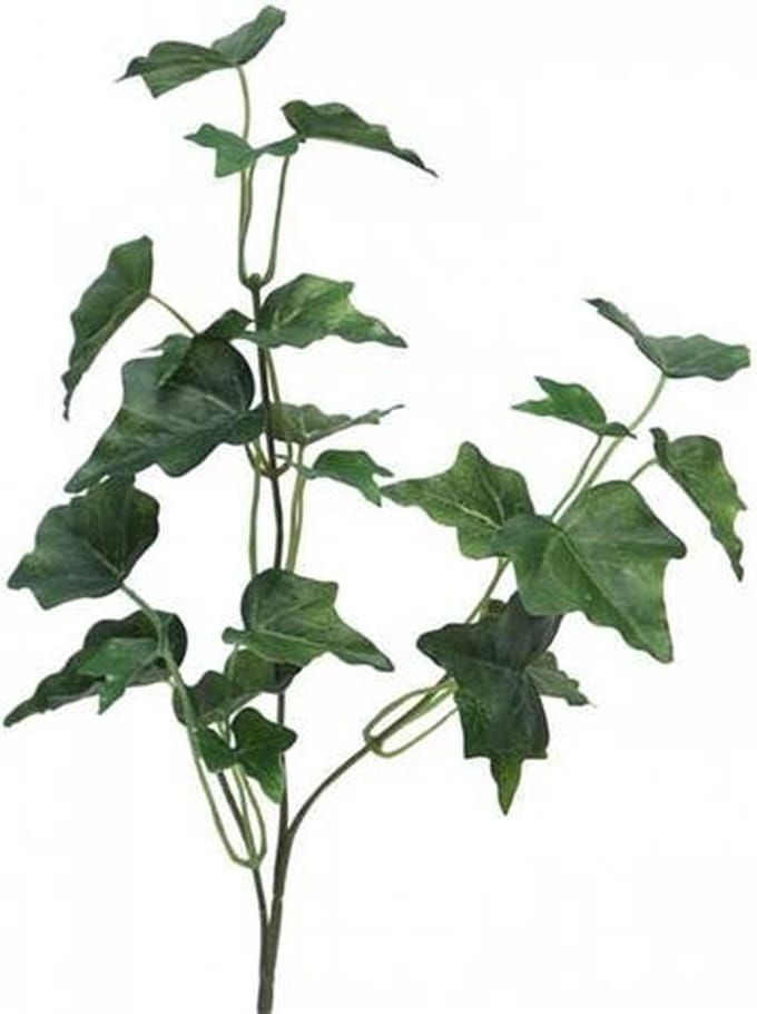 Ivy Chicago Tak 55 cm kunsthangplant Erutan Avon