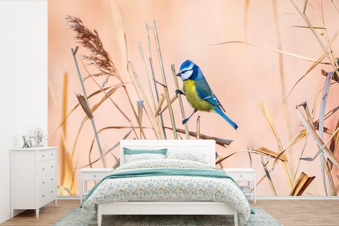 Behang - Fotobehang Vogel - Pimpelmees - Riet - Breedte 390 cm x hoogte 260 cm