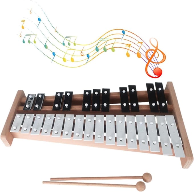 Muziek Speelgoed - Kinderxylofoon - Muziek Leren - 27 Kleurcodes - 50 cm - Multicolor