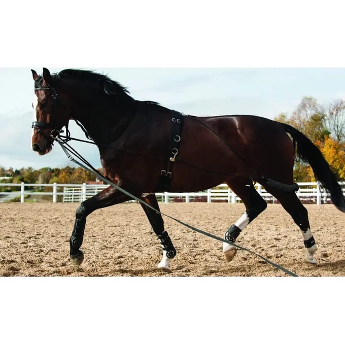 Koord voor paardrijden HorseGuard System
