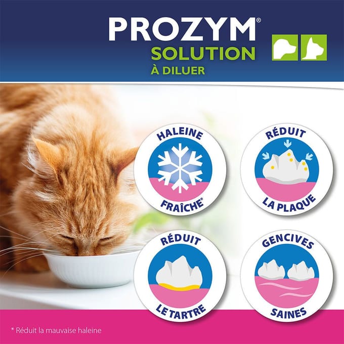 Prozym® RF2 verdunbare oplossing voor honden en katten 250 Orale