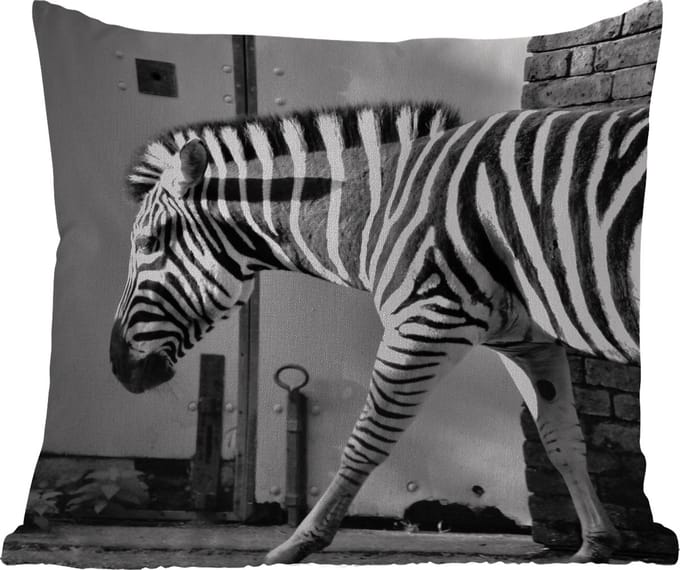 Tuinkussen - Zebra - Muur - Deur - Dieren - Zwart wit - 40x40 cm - Weerbestendig