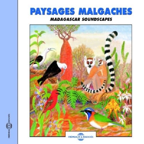 Paysages Malgaches - Madagascar Soundscapes - Sons De La Nature