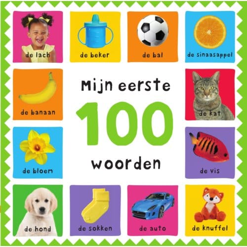 Mijn Eerste 100 Woorden - Mijn Eerste 100 - Roger Priddy