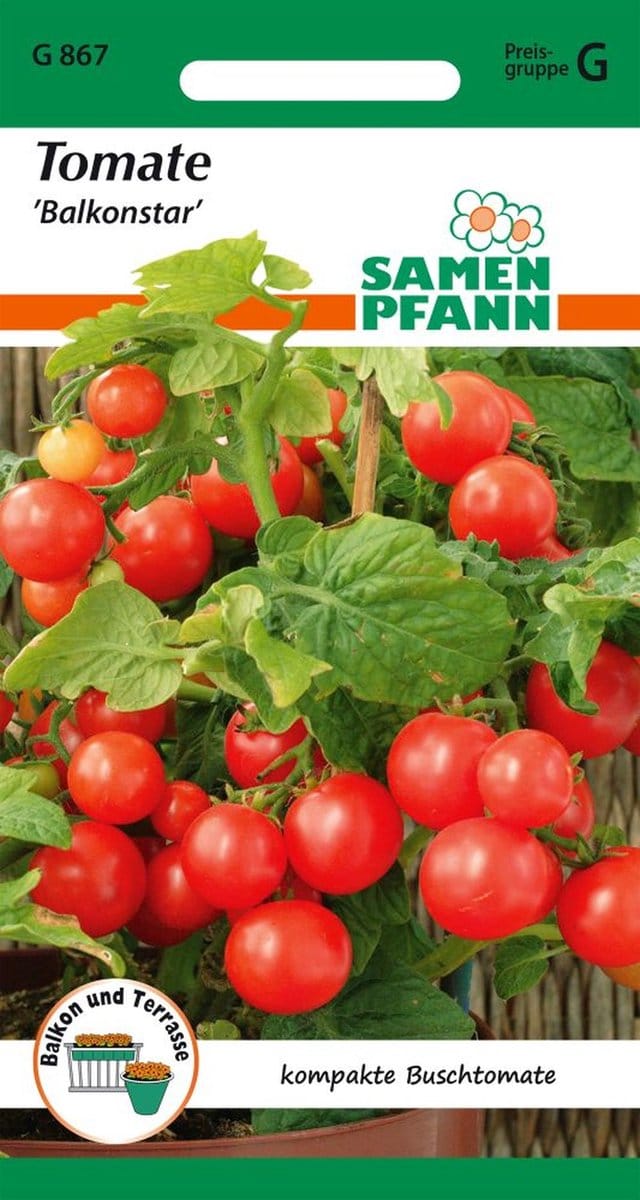 Tomaat, struiktomaat, balkonster - groentezaden, tomatenzaden