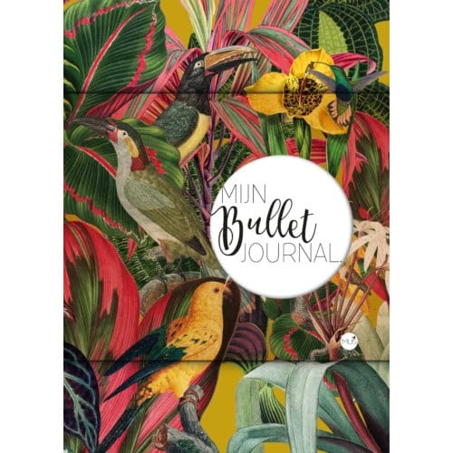 Mijn Bullet Journal