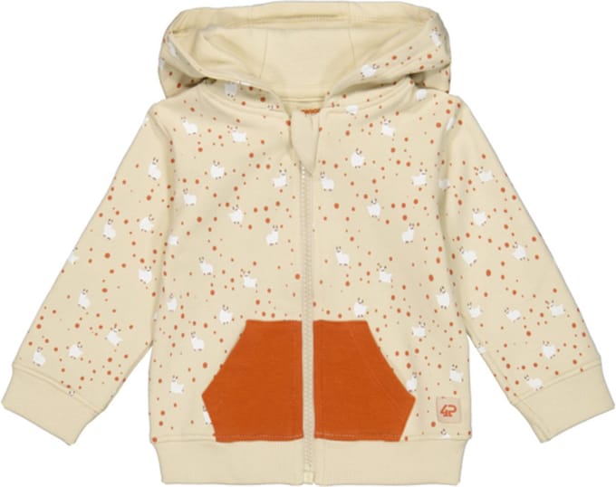4President-Vest Rocky-Beach Sand-Zand