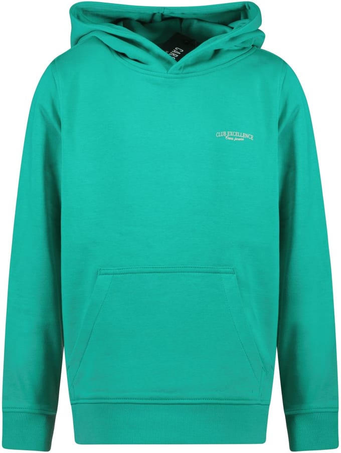 Cars Jeans - Celence Trui - Green - Maat 116