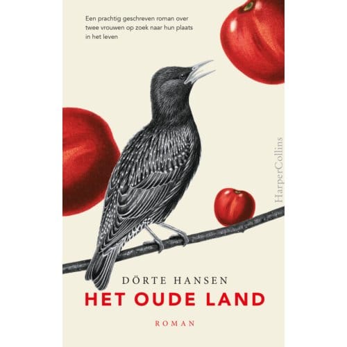 Het Oude Land - Dörte Hansen