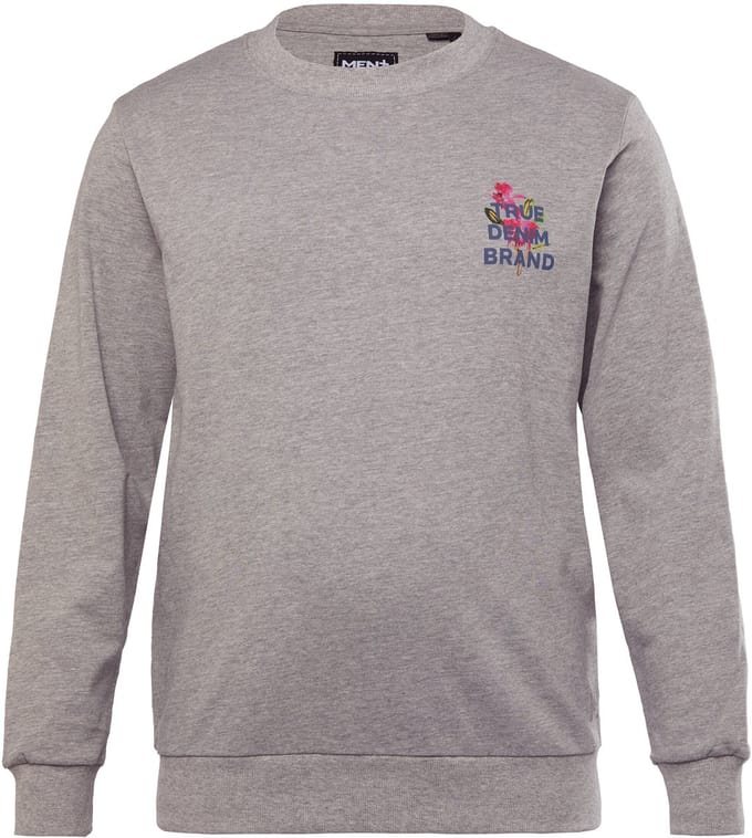 Men Plus - Heren - Sweater rugprint - Grijs melange - Maat L