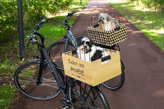 Beeztees K&Bz Fietsmand van hout, 45 x 33 x 45 cm, zwart, 400 g