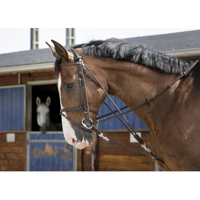 Gogue voor paard Riding World