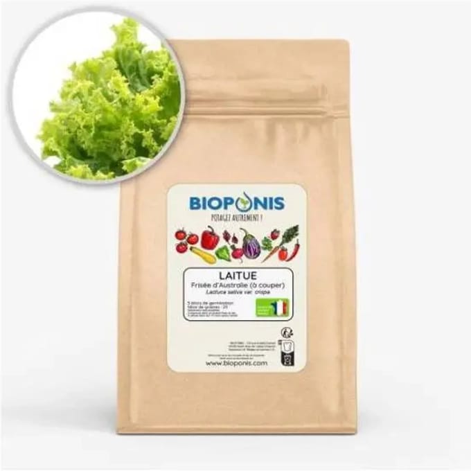Voeding voor de moestuin Bioponis Frisée d'Australie (x5)