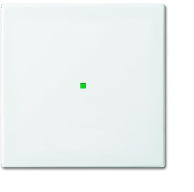 ABB Busch-Jaeger Busch-FreeAtHome Schakelelement/Centrale Plaat - 2CKA006220A0355 [2 stuks].