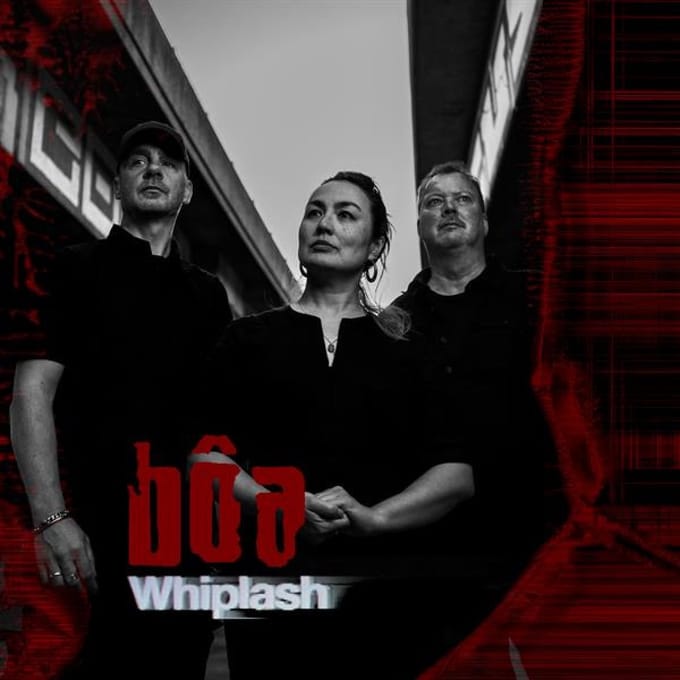 Whiplash - Boa