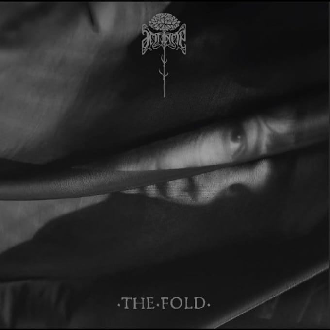 Antinoë: The Fold