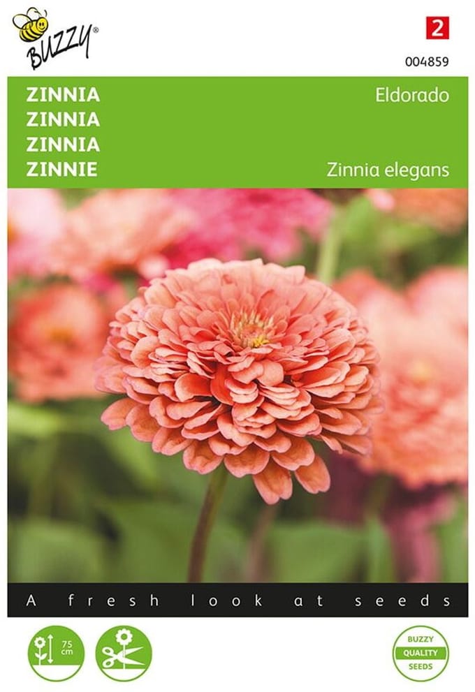 Buzzy - Zaden zinnia eldorado 1 gram
