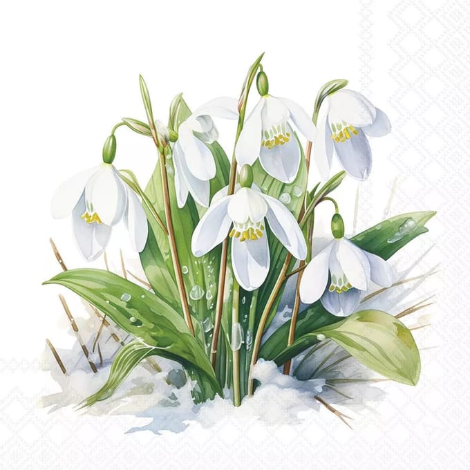 Ambiente papieren servetten Blooming Snowdrops 20 stuks 33 x 33 cm