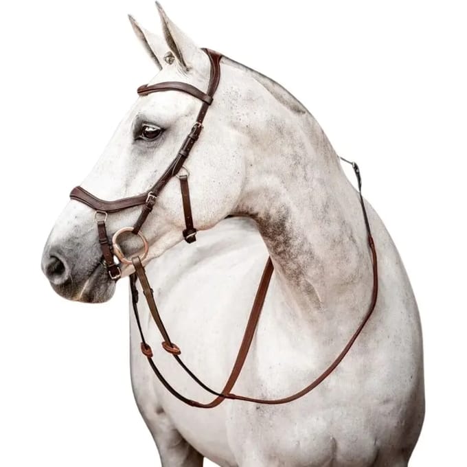 Horseware Hoofdstel Horseware Micklem Competition 2.0 Bruin