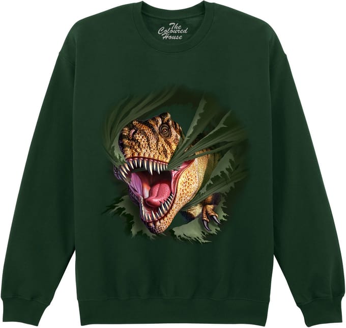 Dino T-Rex Tearing Green The Coloured House Sweater L