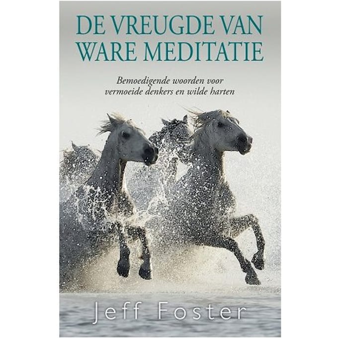 De Vreugde Van Ware Meditatie - Jeff Foster
