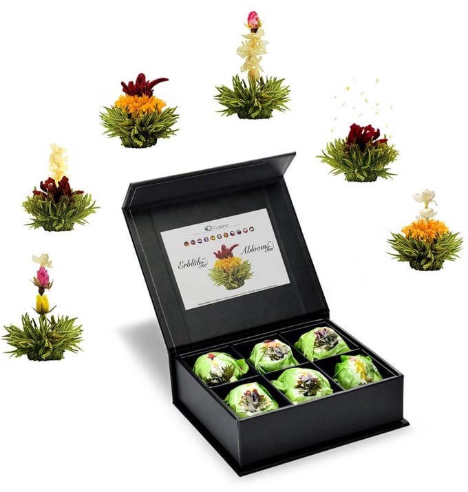 Magneetbox met 6 stuks ErblühTee groene thee