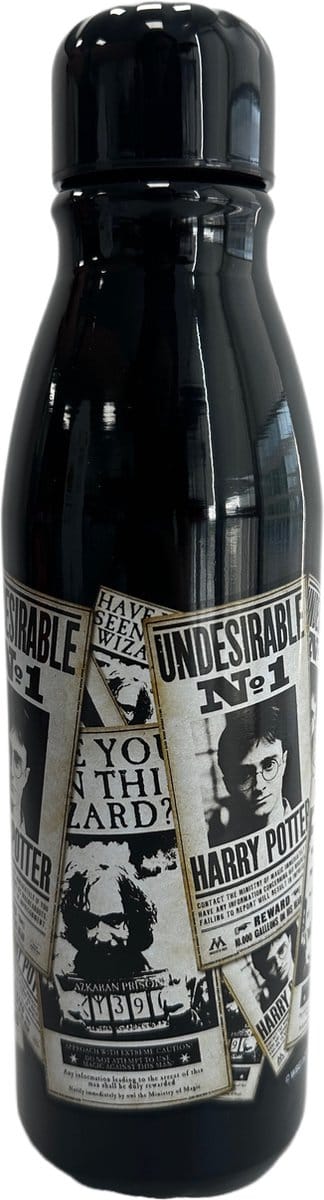 Harry Potter - De Ochtendprofeet Metalen Waterfles 600ml