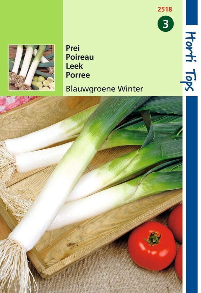 2 stuks Hortitops Prei Blauwgroene Winter, Sel. Hiverbleu