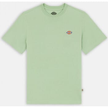 T-shirt Dickies Mapleton ss tee