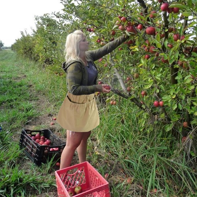 Bessenpluktas Multifunctioneel Duurzaam Nylon Fruitpluk Opbergtas met Gesp beige