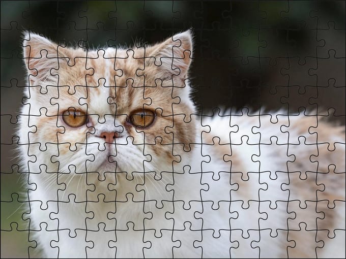 Puzzel Persische Kat | 120 stukjes | Dierenpuzzel | Kattenpuzzel