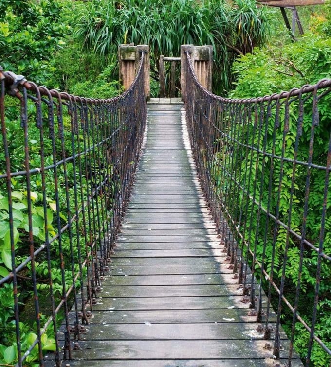 Fotobehang - Footbridge 225x250cm - Vliesbehang