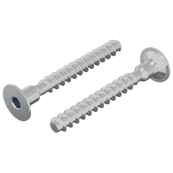 vidaXL - Schroef - 2 - st - Verzinkt - 5 - x - 40 - mm - IJzer