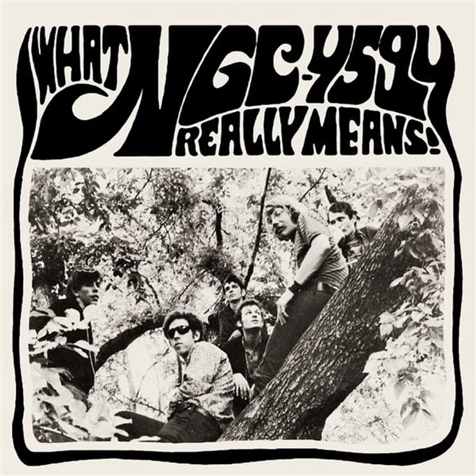 NGC-4594 - What NGC-4594 Really Means! (LP | 7" Vinyl)