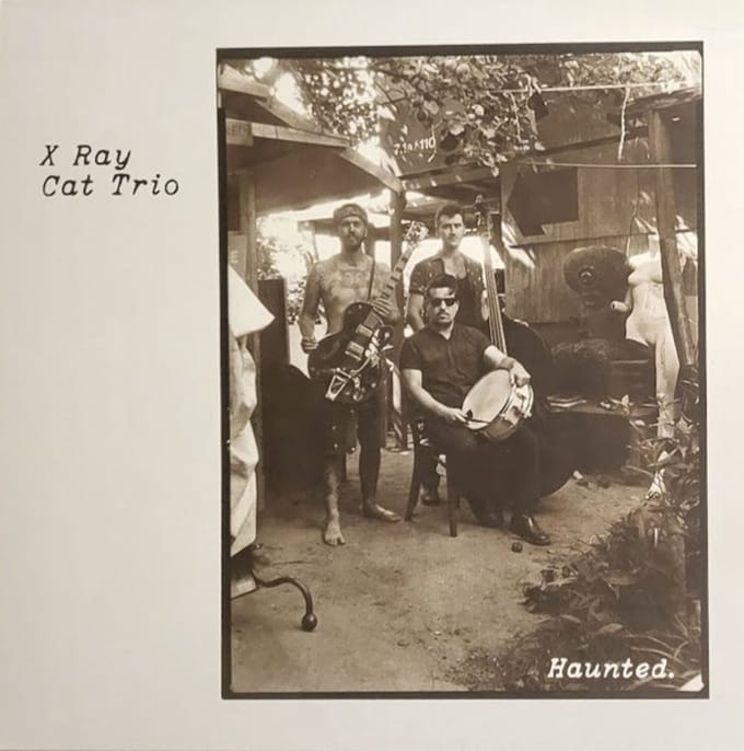 X Ray Cat Trio - Haunted (LP)